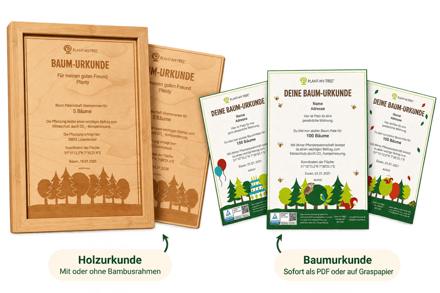 Holzurkunde und gedruckte Baumurkunden als Geschenk