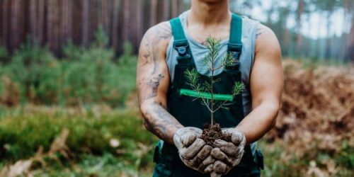 plantmytree-1120-CarolinKotte-145-750×500 plantmytree-1120-CarolinKotte-145-750x500